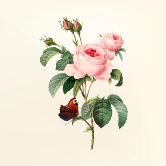 myvintagesecret